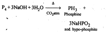 NCERT Solutions For Class 12 Chemistry Chapter 7 The p Block Elements-4