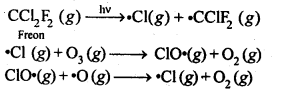 NCERT Solutions For Class 12 Chemistry Chapter 7 The p Block Elements-13