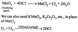 NCERT Solutions For Class 12 Chemistry Chapter 7 The p Block Elements-18