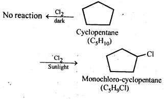 NCERT Solutions For Class 12 Chemistry Chapter 10 Haloalkanes and Haloarenes-15