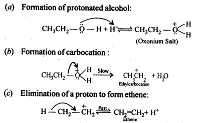 NCERT Solutions For Class 12 Chemistry Chapter 11 Alcohols Phenols and Ether-26