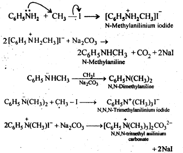 NCERT Solutions For Class 12 Chemistry Chapter 13 Amines-5