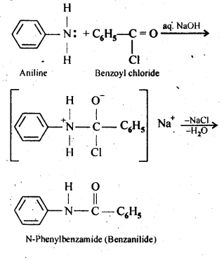 NCERT Solutions For Class 12 Chemistry Chapter 13 Amines-6