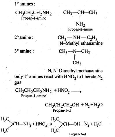 NCERT Solutions For Class 12 Chemistry Chapter 13 Amines-7