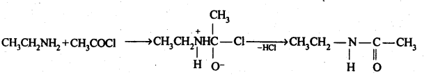 NCERT Solutions For Class 12 Chemistry Chapter 13 Amines-29