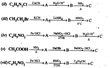 NCERT Solutions For Class 12 Chemistry Chapter 13 Amines-35