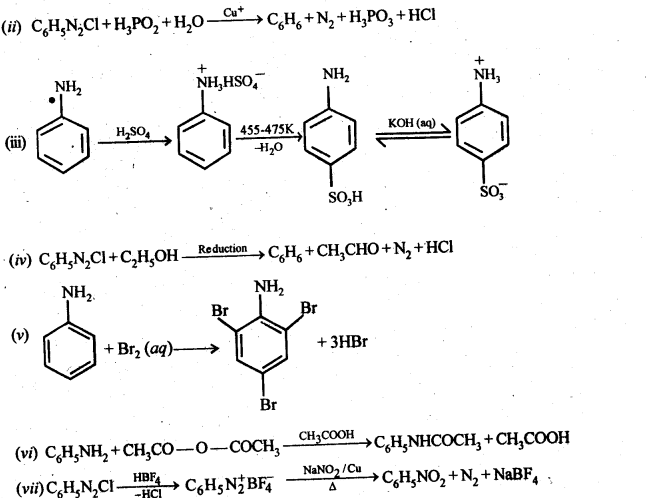 NCERT Solutions For Class 12 Chemistry Chapter 13 Amines-39