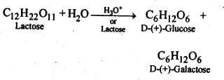 NCERT Solutions For Class 12 Chemistry Chapter 14 Biomolecules-1