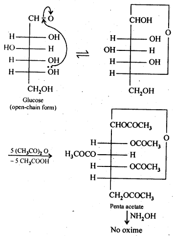 NCERT Solutions For Class 12 Chemistry Chapter 14 Biomolecules-2