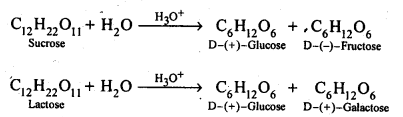 NCERT Solutions For Class 12 Chemistry Chapter 14 Biomolecules-5