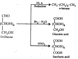 NCERT Solutions For Class 12 Chemistry Chapter 14 Biomolecules-7