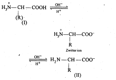 NCERT Solutions For Class 12 Chemistry Chapter 14 Biomolecules-11