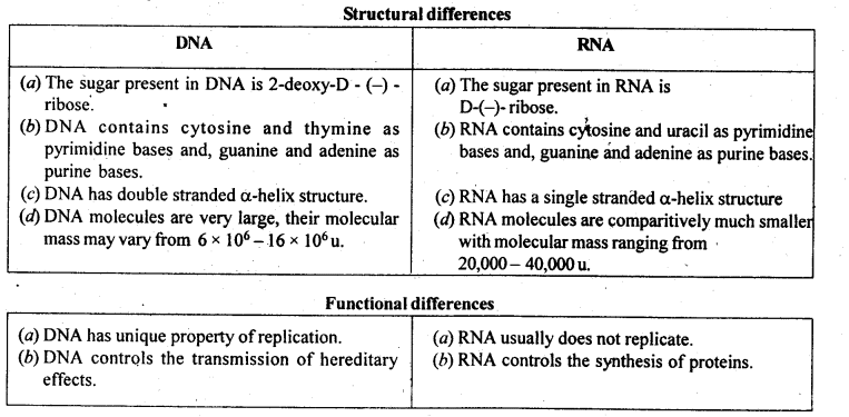 NCERT Solutions For Class 12 Chemistry Chapter 14 Biomolecules-14
