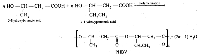 NCERT Solutions For Class 12 Chemistry Chapter 15 Polymers-13