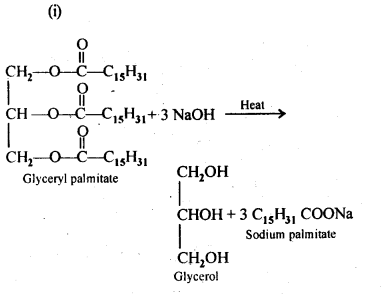 NCERT Solutions For Class 12 Chemistry Chapter 16 Chemistry in Everyday Life-1