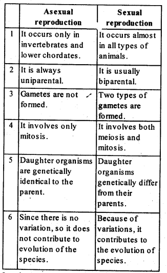 ncert-solutions-for-class-12-biology-reproduction-in-organisms-1