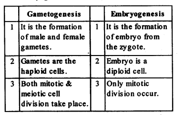 ncert-solutions-for-class-12-biology-reproduction-in-organisms-2