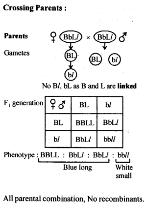 ncert-solutions-for-class-12-biology-principles-of-inheritance-and-variation-7