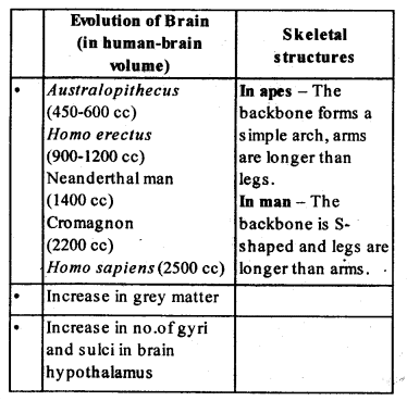 NCERT Solutions For Class 12 Biology Chapter 7 