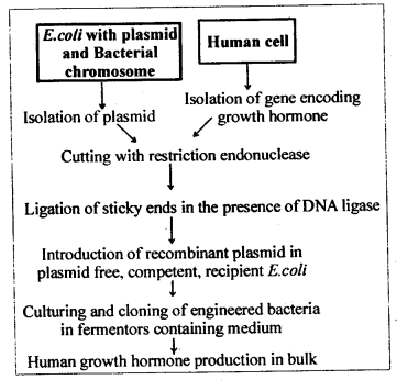 ncert-solutions-for-class-12-biology-biotechnology-and-its-applications-2