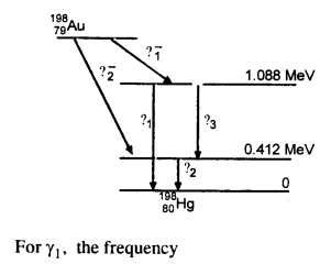 NCERT Solutions for Class 12 physics Chapter 13.56