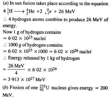NCERT Solutions for Class 12 physics Chapter 13.59