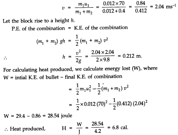 NCERT Solutions for Class 11 Physics Chapter 6 Work Energy and Power Q24