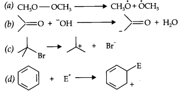 NCERT Solutions for Class 11th Chemistry Chapter 12 Organic Chemistry Some Basic Principles and Techniques Q16