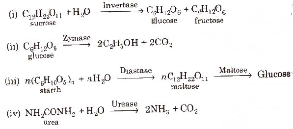 CBSE Class 12 Chemistry Notes – Surface Chemistry - myTechMint