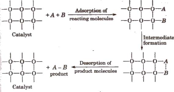 CBSE Class 12 Chemistry Notes – Surface Chemistry - myTechMint