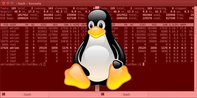 Unix / Linux - Shell Scripting Tutorial - myTechMint