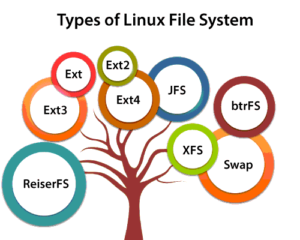 Linux File System Explained - myTechMint