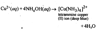 NCERT Solutions For Class 12 Chemistry Chapter 7 The p Block Elements-2