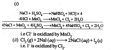 NCERT Solutions For Class 12 Chemistry Chapter 7 The p Block Elements-21