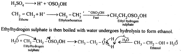 NCERT Solutions For Class 12 Chemistry Chapter 11 Alcohols Phenols and Ether-15