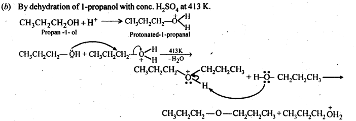 NCERT Solutions For Class 12 Chemistry Chapter 11 Alcohols Phenols and Ether-33