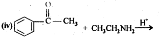 NCERT Solutions For Class 12 Chemistry Chapter 12 Aldehydes Ketones and Carboxylic Acids-7