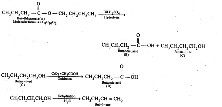 NCERT Solutions For Class 12 Chemistry Chapter 12 Aldehydes Ketones and Carboxylic Acids-34