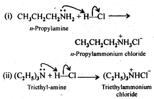 NCERT Solutions For Class 12 Chemistry Chapter 13 Amines-4