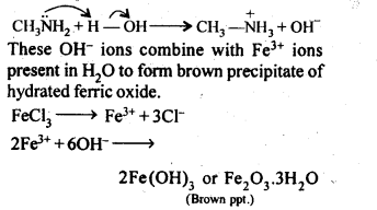 NCERT Solutions For Class 12 Chemistry Chapter 13 Amines-12