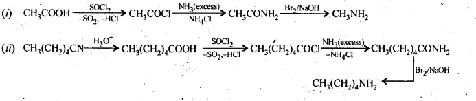 NCERT Solutions For Class 12 Chemistry Chapter 13 Amines-21