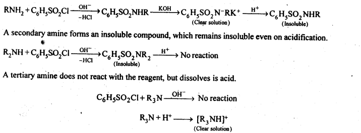 NCERT Solutions For Class 12 Chemistry Chapter 13 Amines-23