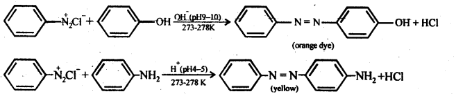 NCERT Solutions For Class 12 Chemistry Chapter 13 Amines-27