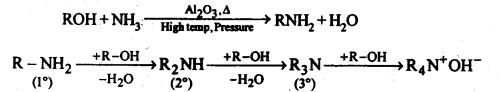 NCERT Solutions For Class 12 Chemistry Chapter 13 Amines-28
