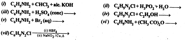 NCERT Solutions For Class 12 Chemistry Chapter 13 Amines-37