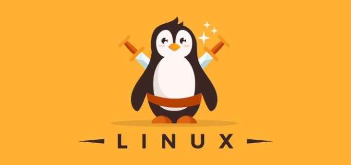 How to Check OS Version in Linux