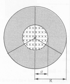 NCERT Solutions for Class 12 physics Chapter 6.25