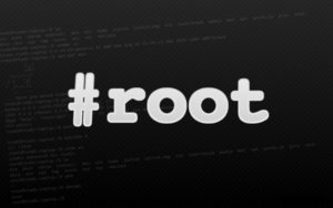 linux-root-mytechmint