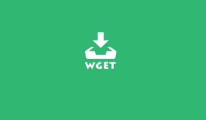 wget-commands-in-linux-mytehcmint