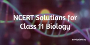 ncert-solution-for-class-11-biology-mytechmint